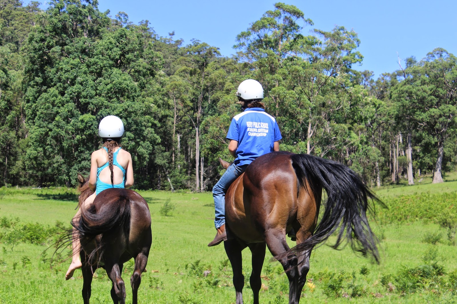 What's On News & Events