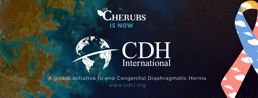 CDH International