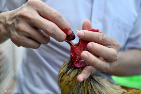 Chum anh: Trai ga vay rong o Sai Gon duoc dan choi san lung - Anh 17