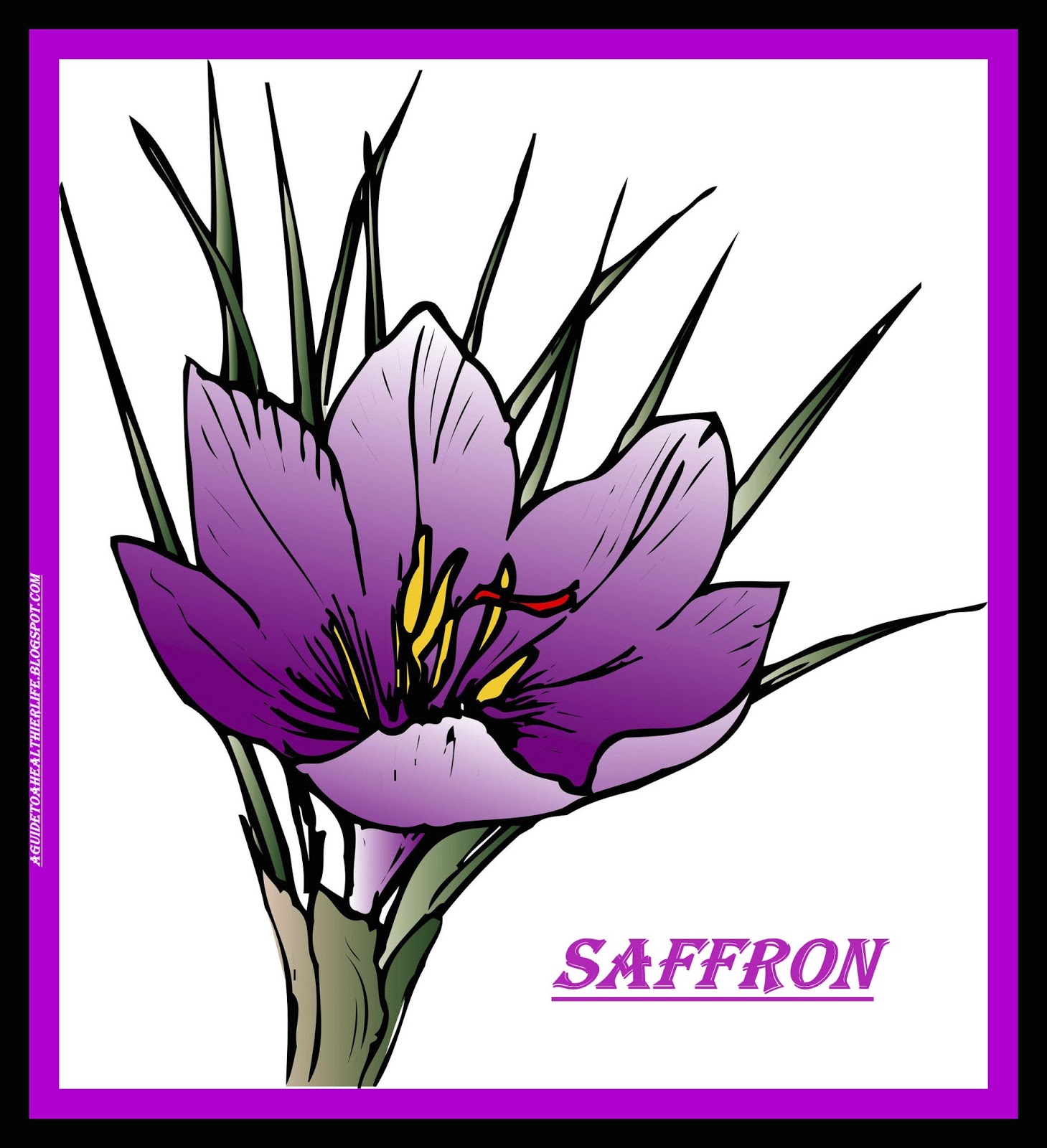 A Guide to a Healthier Life