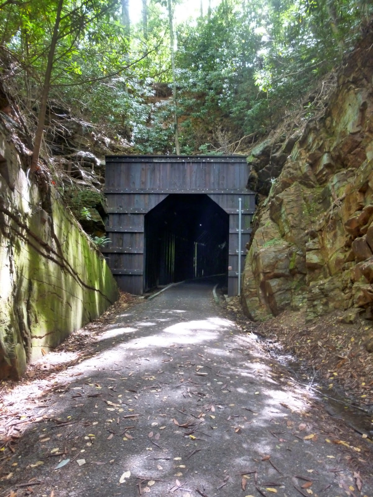 American Travel Journal New River Trail Day 1 Galax to Ivanhoe