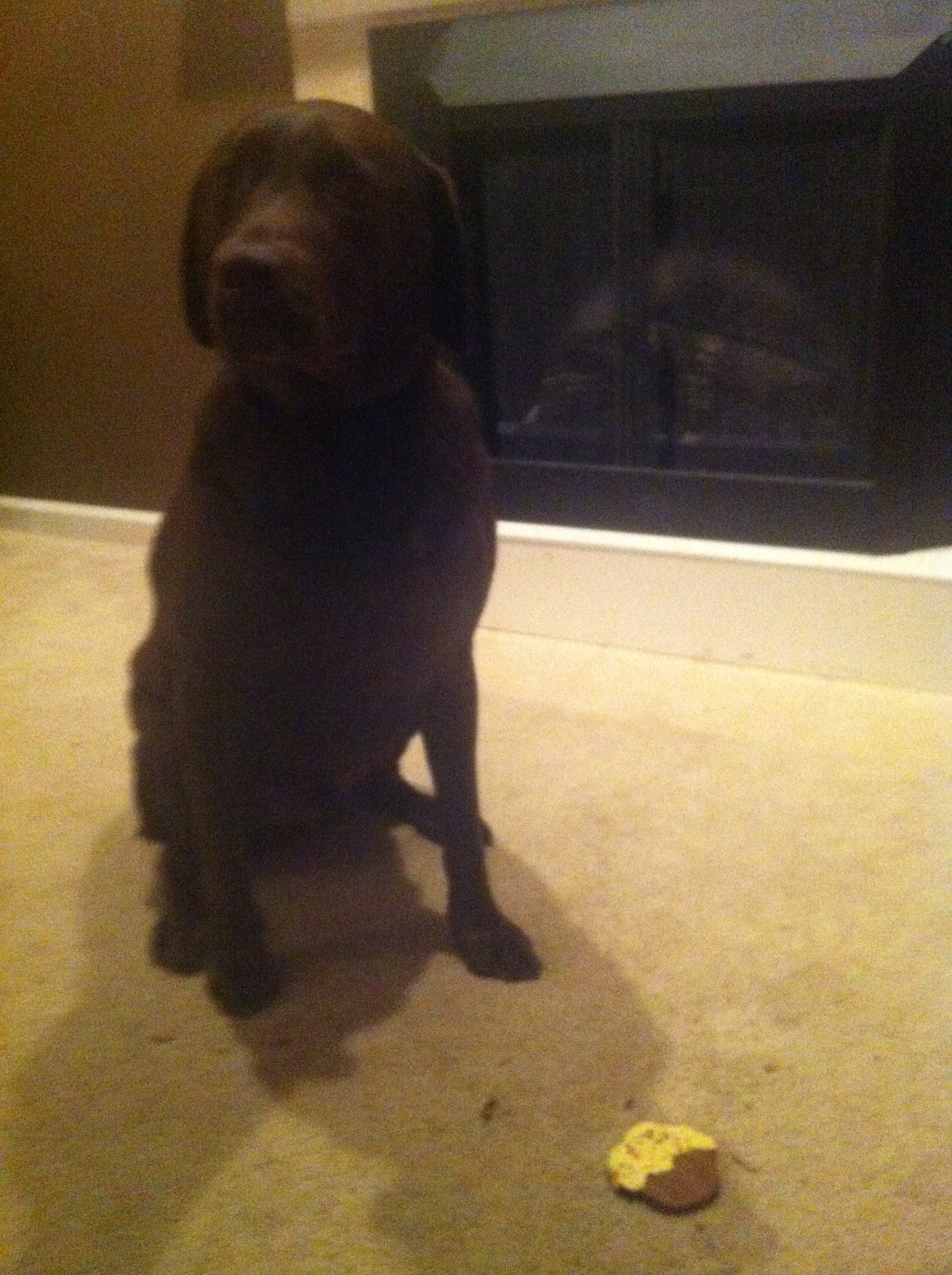 Run Teacher Run! Community Day, Synonyms, and Scout's Birthday!