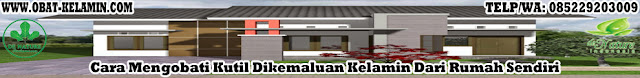 Obat Kutil Kelamin Obat Kutil Kelamin