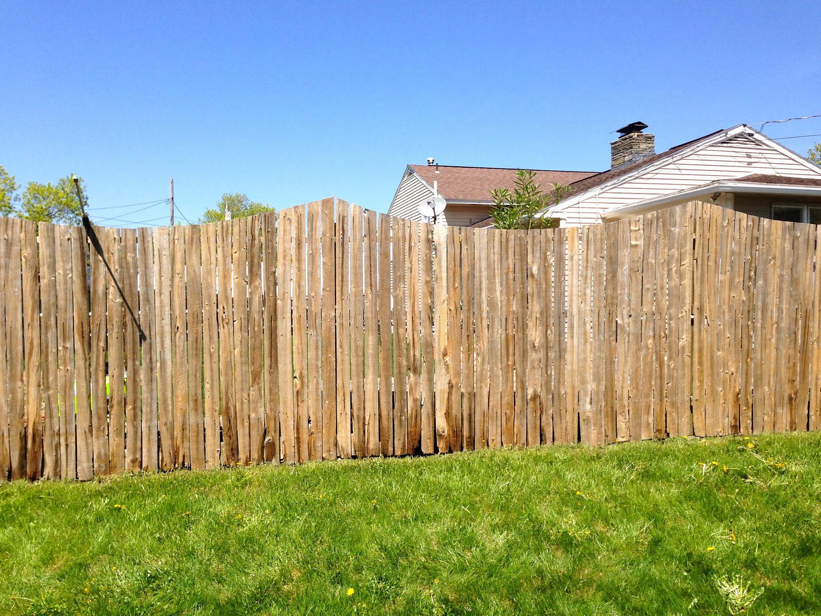 Eclectified Living Fence Painting Prep