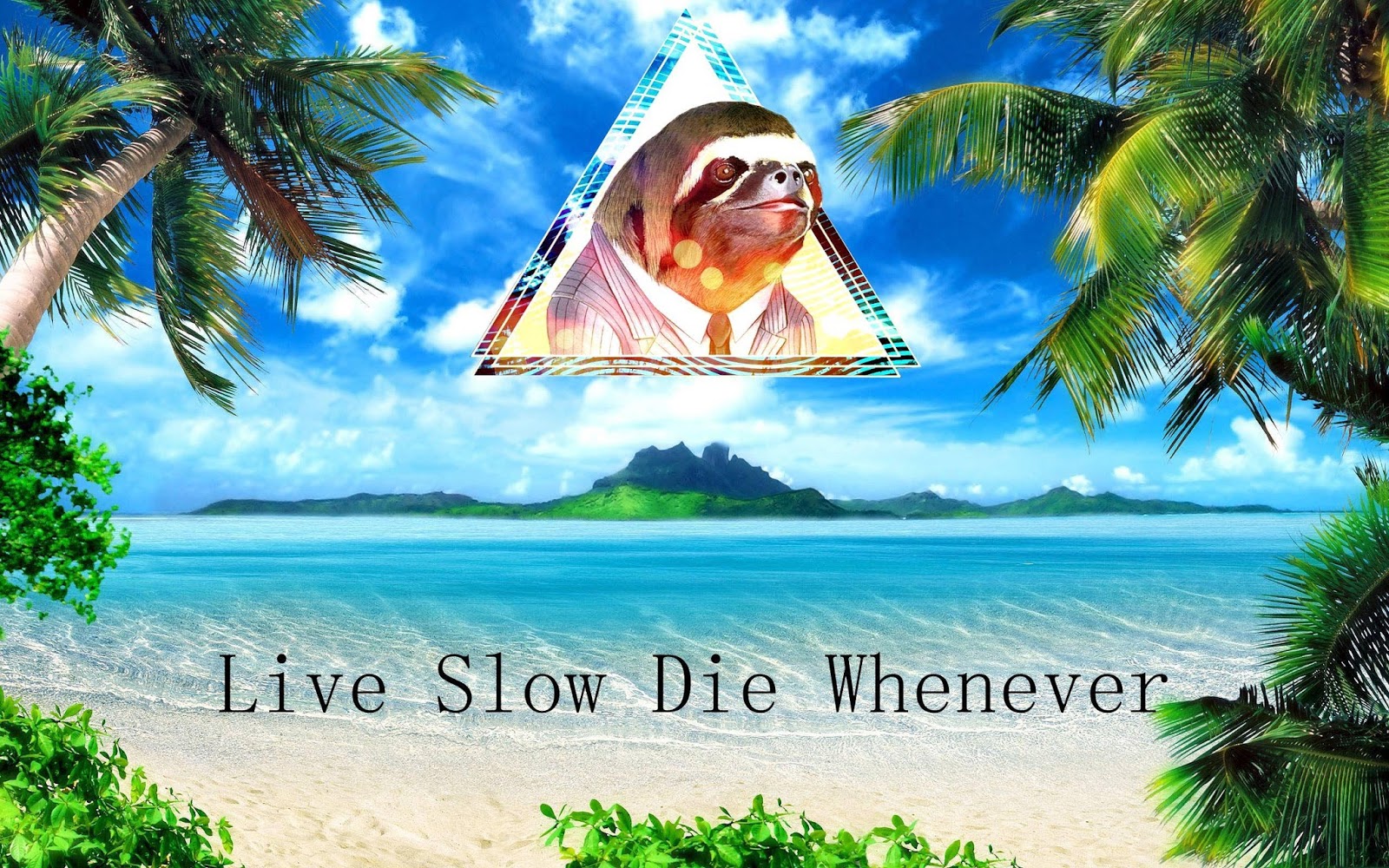 Sloth Wallpapers Sloth Wallpapers