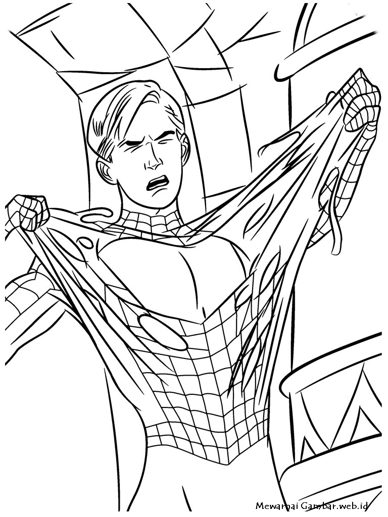 Mewarnai Gambar Spiderman Mewarnai Gambar