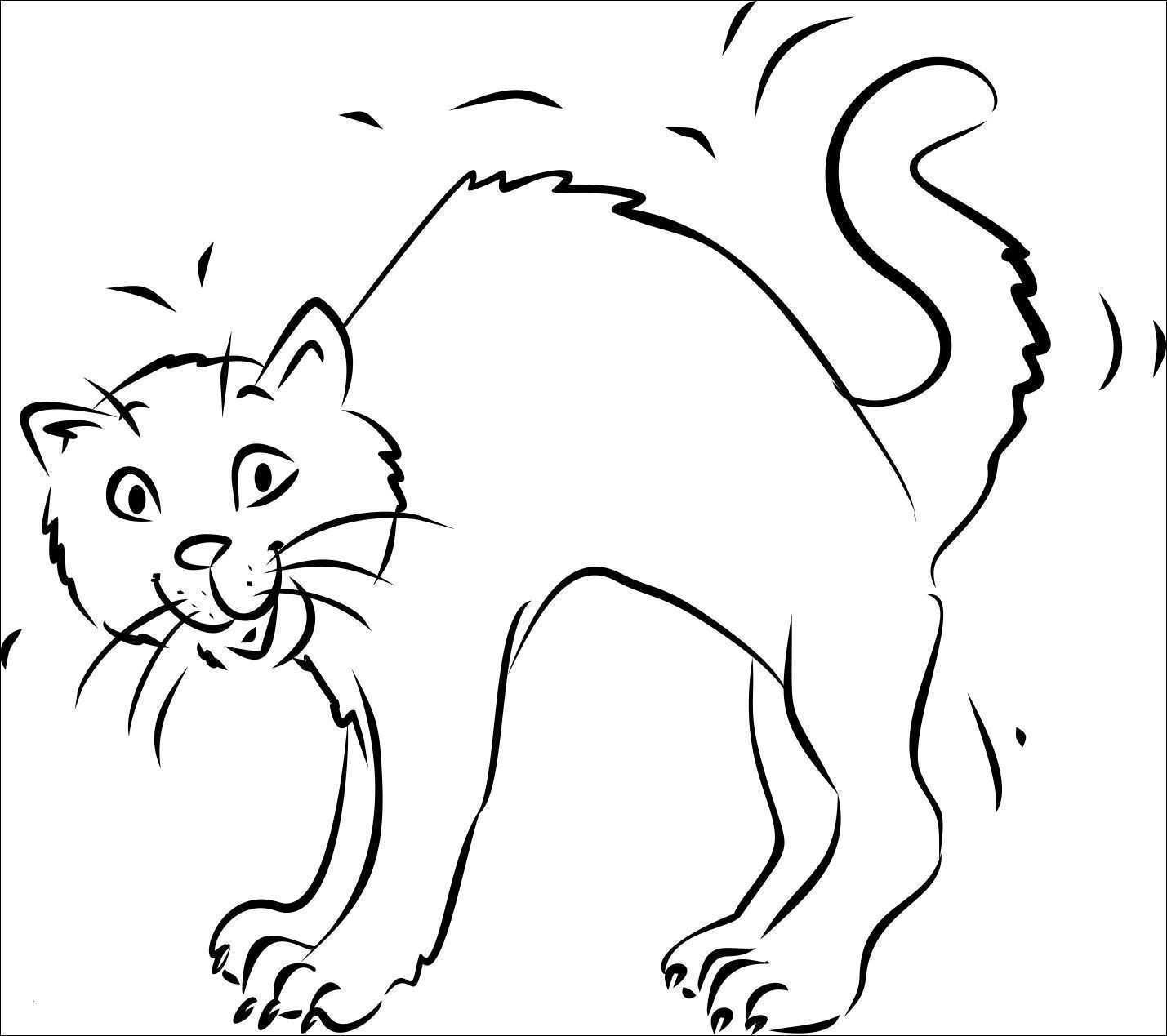 KATZENBILDER ZUM AUSMALEN - Ausmalbilder Einhorn