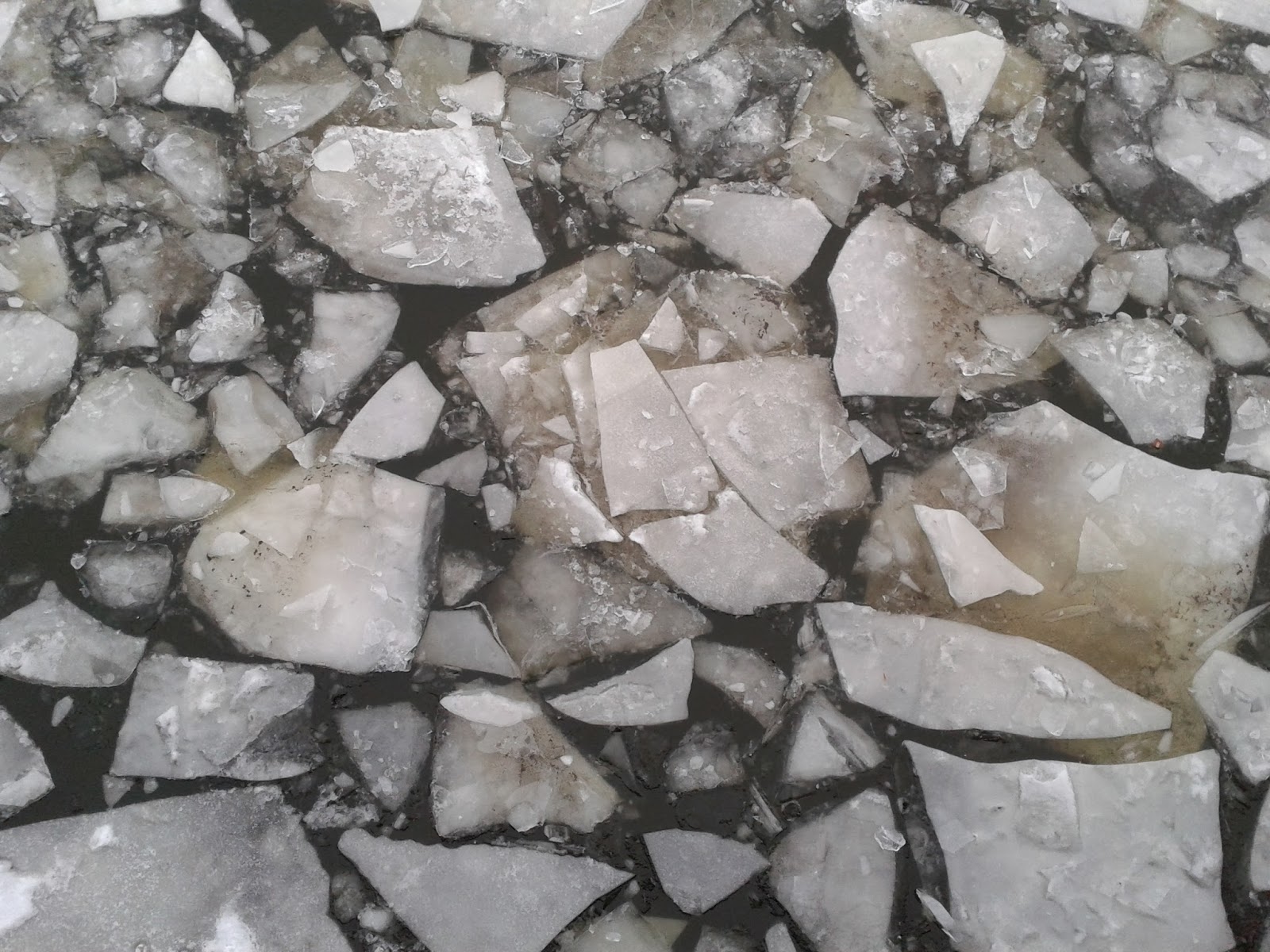 Brot Und Glanz Bekennen Sich