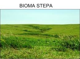 Pengertian Bioma,Macam-macam Bioma dan Ciri-ciri Masing-Masing Bioma Tersebut