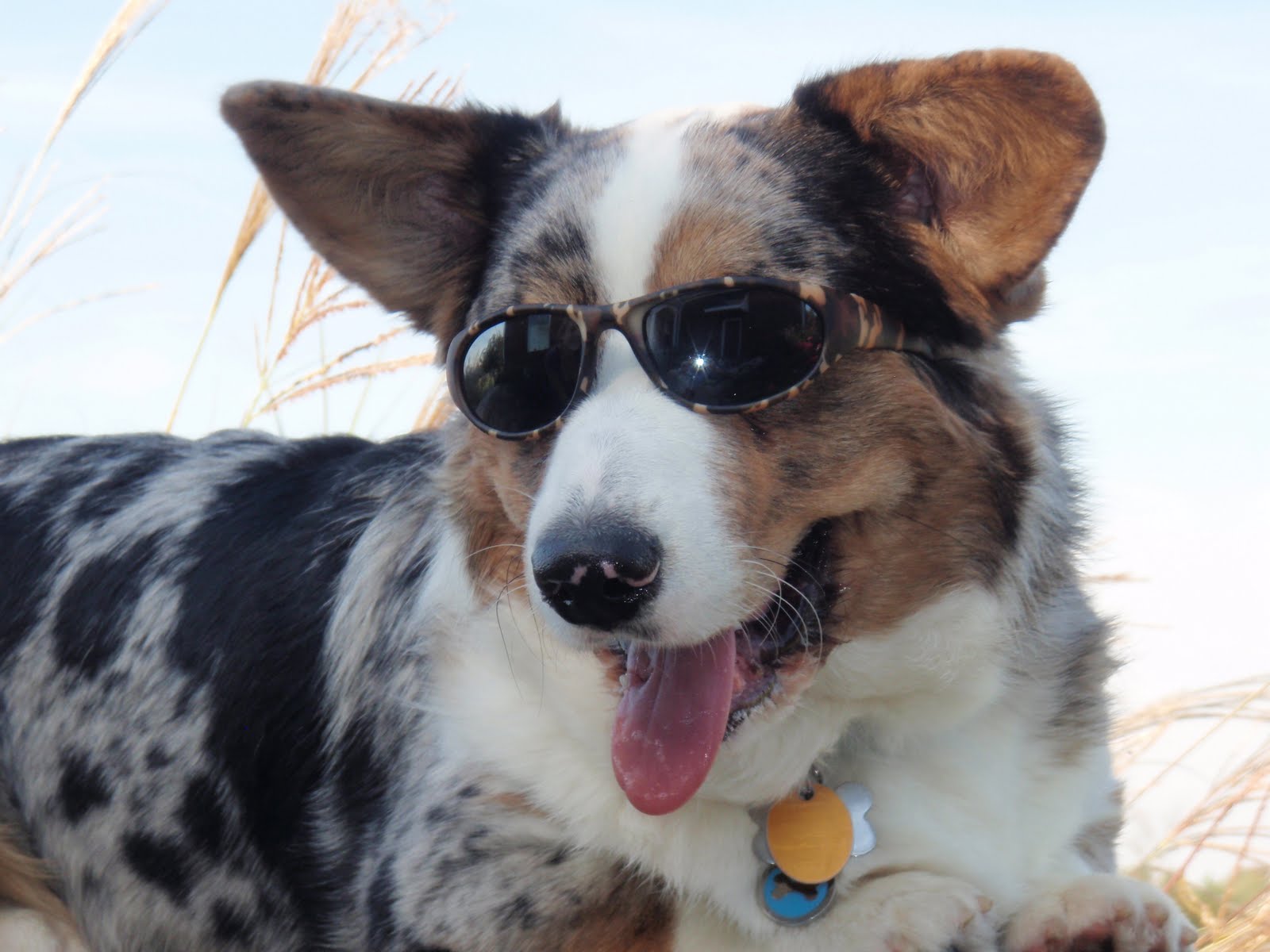 grangefield cardigans