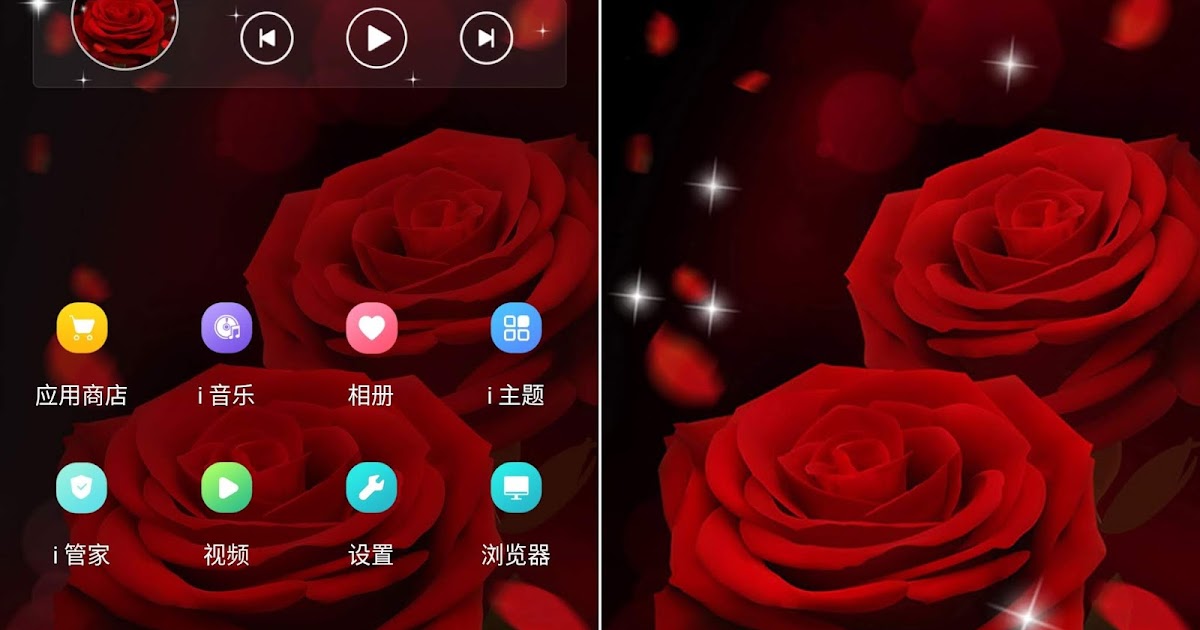 Conted roses. Модель телефона роза. Rose theme. Роза в крови обои на телефон. Rose theme.