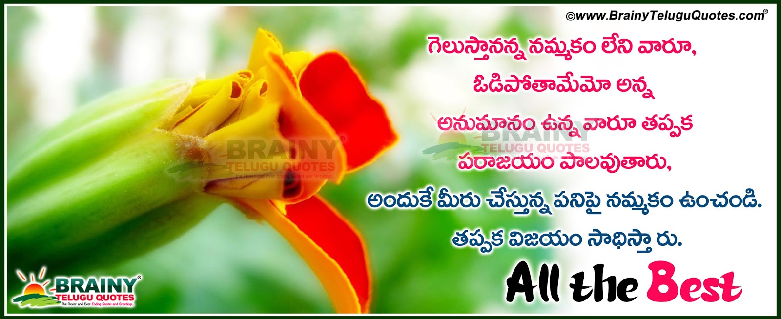 Telugu Quotations And Greetings Wishes For All The Best Facebook Cover telugu-quotations-and-greetings-wishes-for-all-the-best-facebook-cover