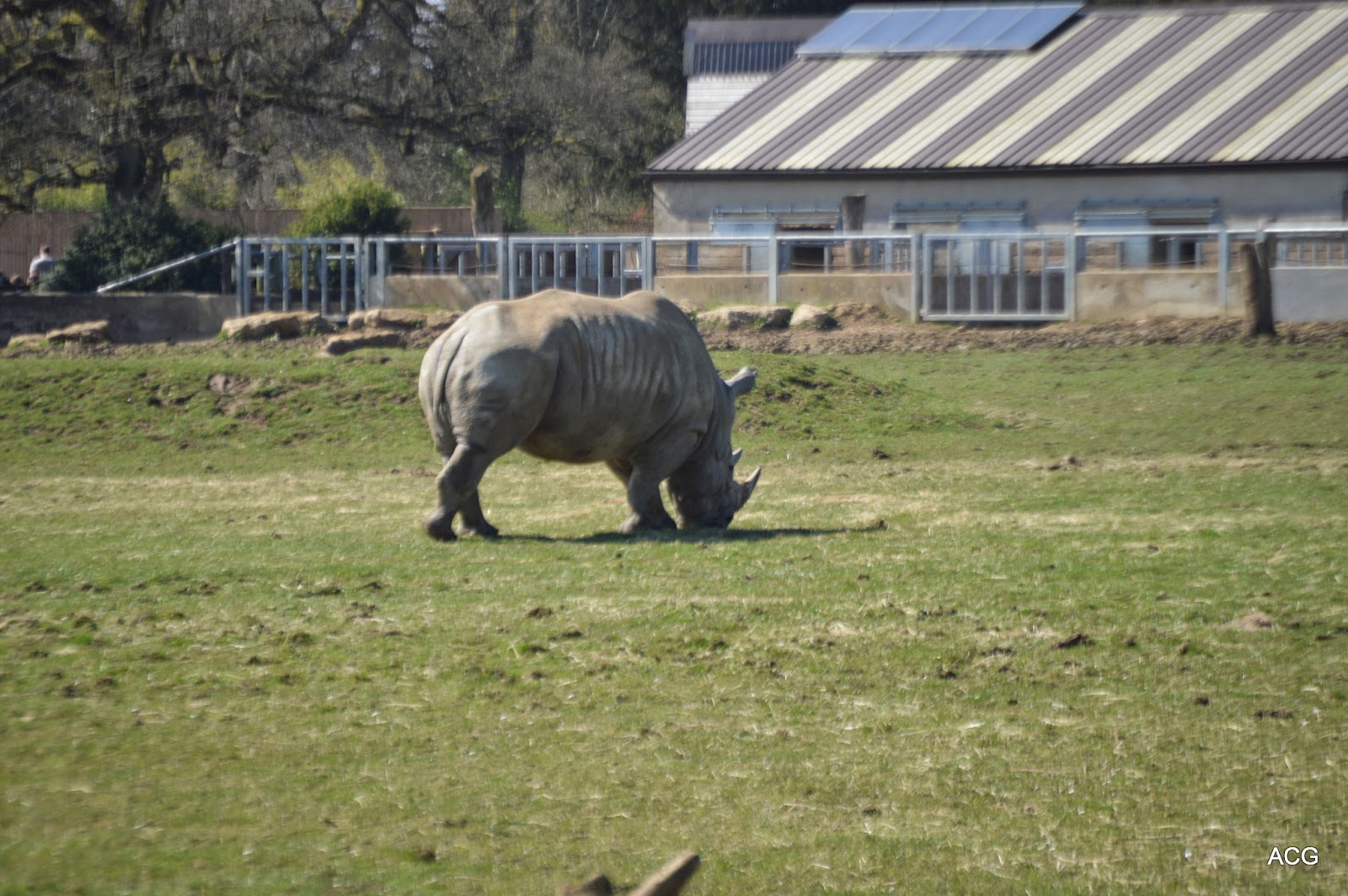 Zoo Volunteer Cotswold Wildlife Park