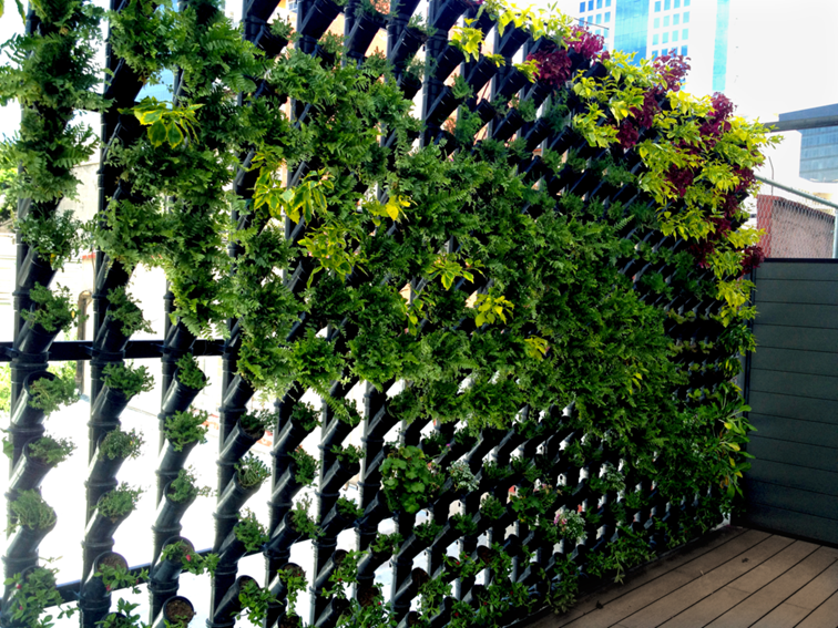 Muros Y Cubiertas Verdes ¿QUE ES UN MURO VERDE? Muros Y Cubiertas Verdes ¿QUE ES UN MURO VERDE?