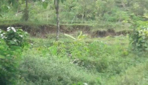 Tanah Retak dan Amblas - Desa Bekiring - Warga Mengungsi