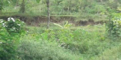 Tanah Retak dan Amblas - Desa Bekiring - Warga Mengungsi