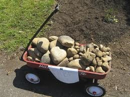 Life to the Full: What's In Your Wagon?