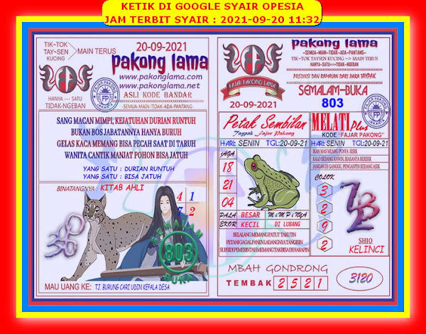 syair hongkong syair hongkong