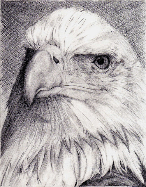 Que Es El Dibujo Art stico Imagui que-es-el-dibujo-art-stico-imagui