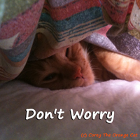 Corey The Orange Cat - Don't Worry