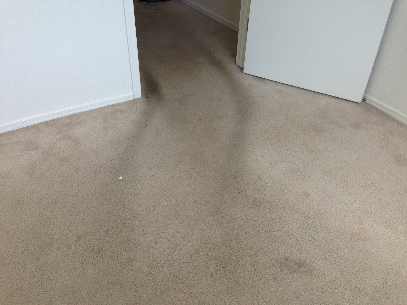 Southwest Colorado Carpet Cleaning Telltale Signs You Need a Carpet