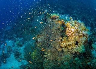 Hurghada Excursions Hurghada Excursions