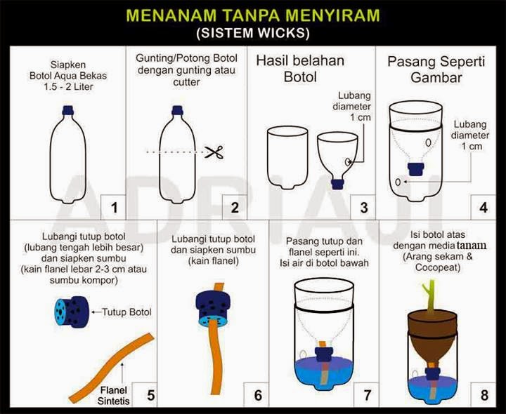 cara membuat greenhouse mini hidroponik dengan bahan murah