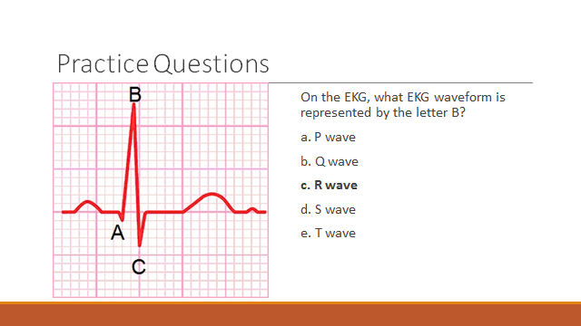 ekg practice questions Read and download practice questions answers on ecg interpretation free ebooks in pdf format - fetal pig dissection answers key pappersvaggar john ajvide lindqvist. ekg practice questions Read and download practice questions answers on ecg interpretation free ebooks in pdf format - fetal pig dissection answers key pappersvaggar john ajvide lindqvist.