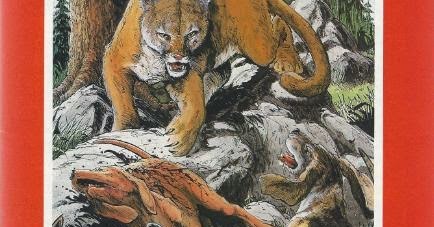 TMNT Entity The Puma Blues 20