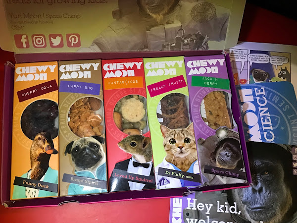 Review: ChewyMoon Children's Subscription Snack Box