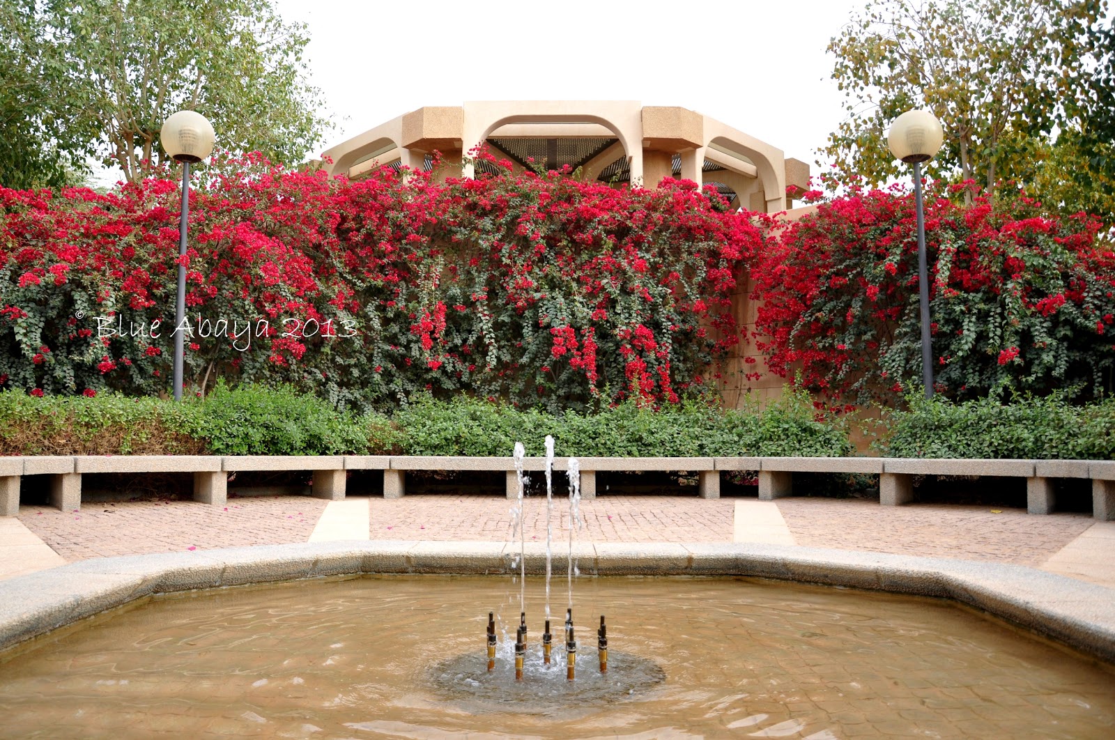 Riyadh's Hidden GemsThe Diplomatic Quarter Gardens The Holidays