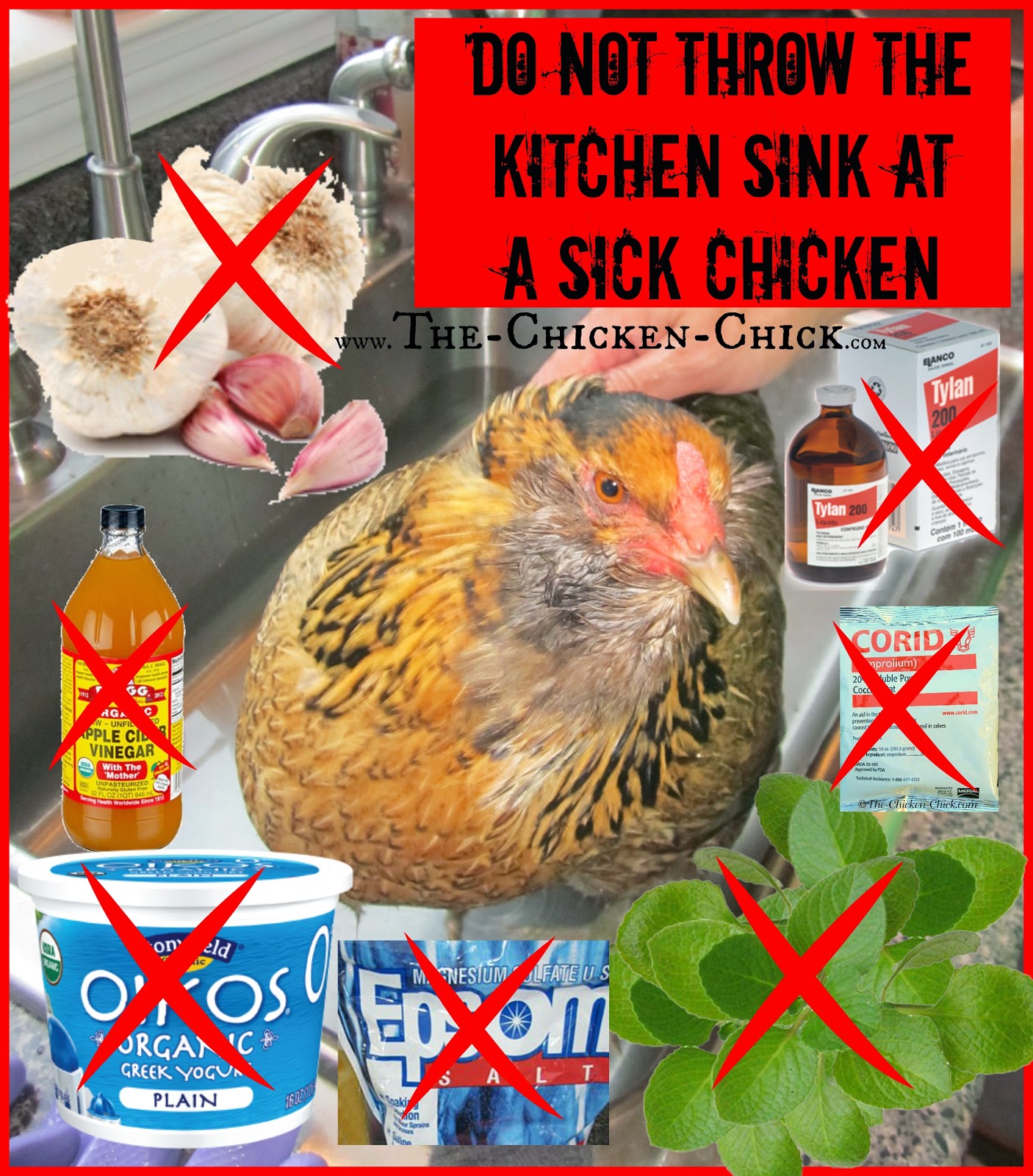 The Chicken Chick® How to Help a Sick Chicken