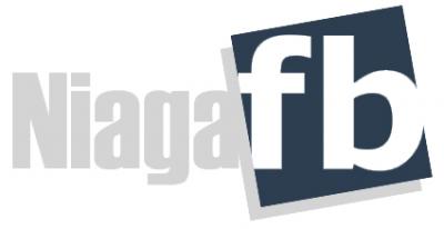 TERBARU ! NiagaFB Bongkarkan Teknik Pemasaran Terkini TANPA FB Ads