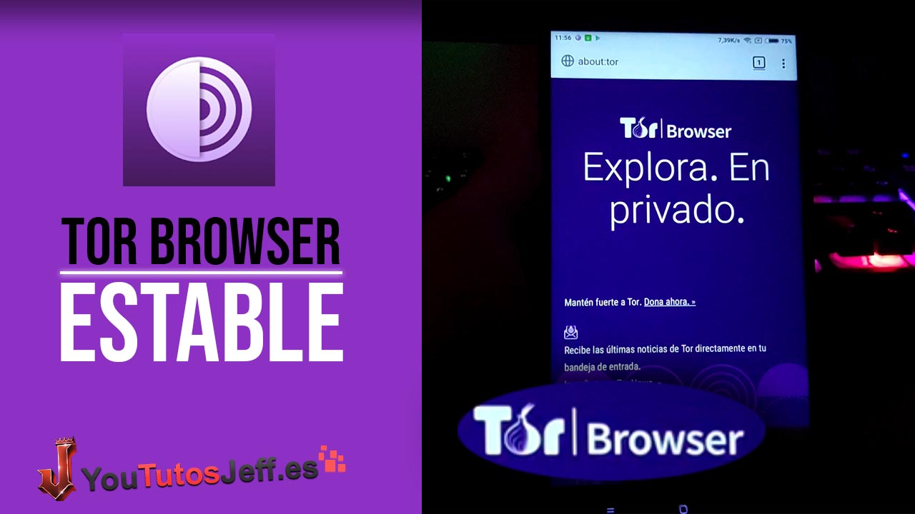 какие browser tor android даркнет