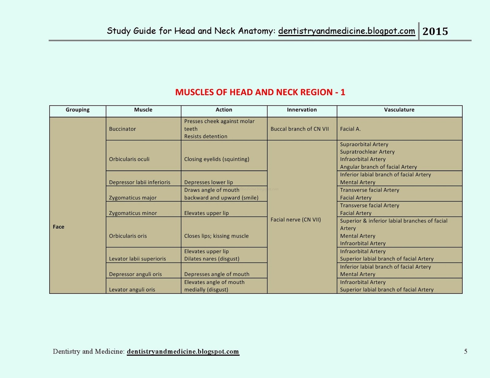 Anatomy Physiology 1 ; Chap 7 - The Muscular System