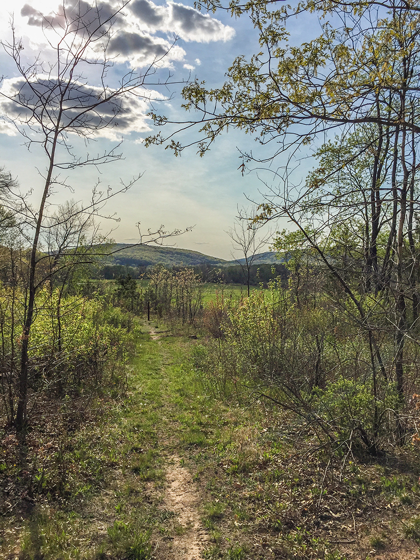 Baraboo Hills beyond on the Merrimac Segment of the Ice Age Trail