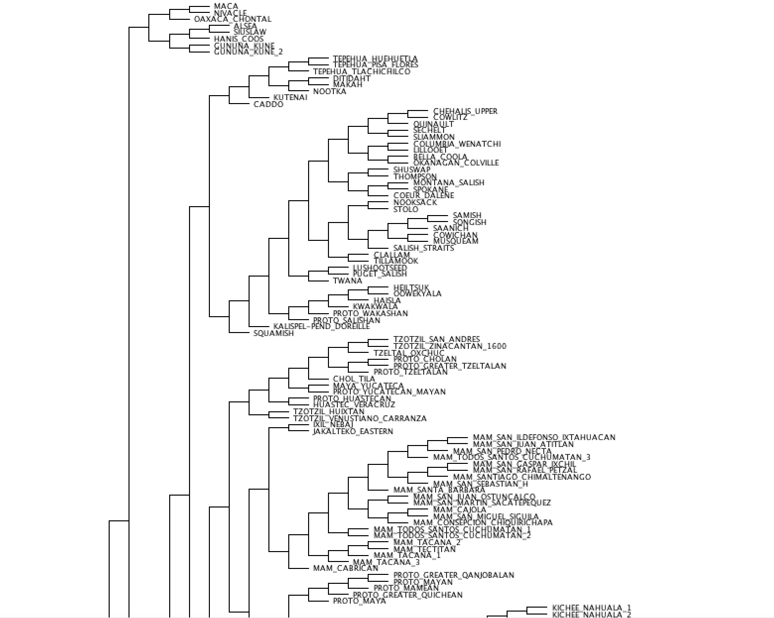 Languages Of The World Tree