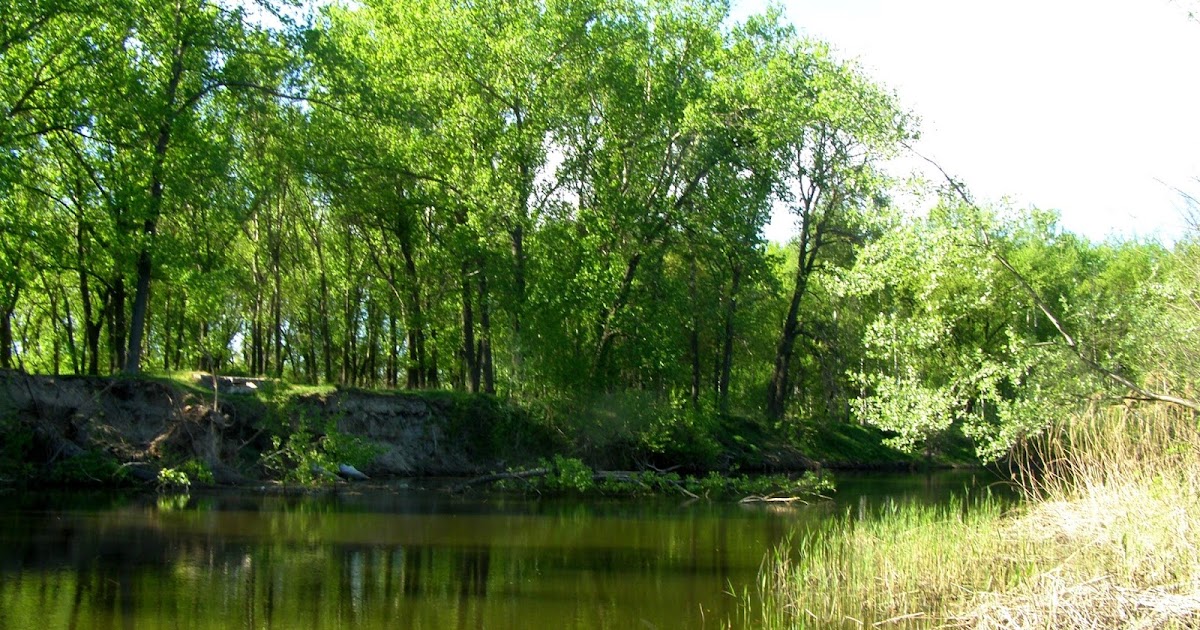 Река псел в сумах