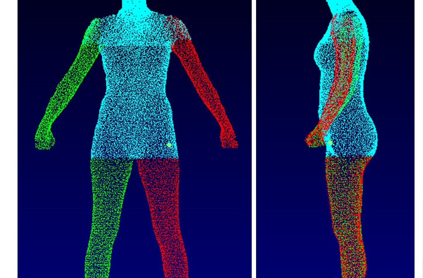 Wholebody scanning What are the impacts on body image?