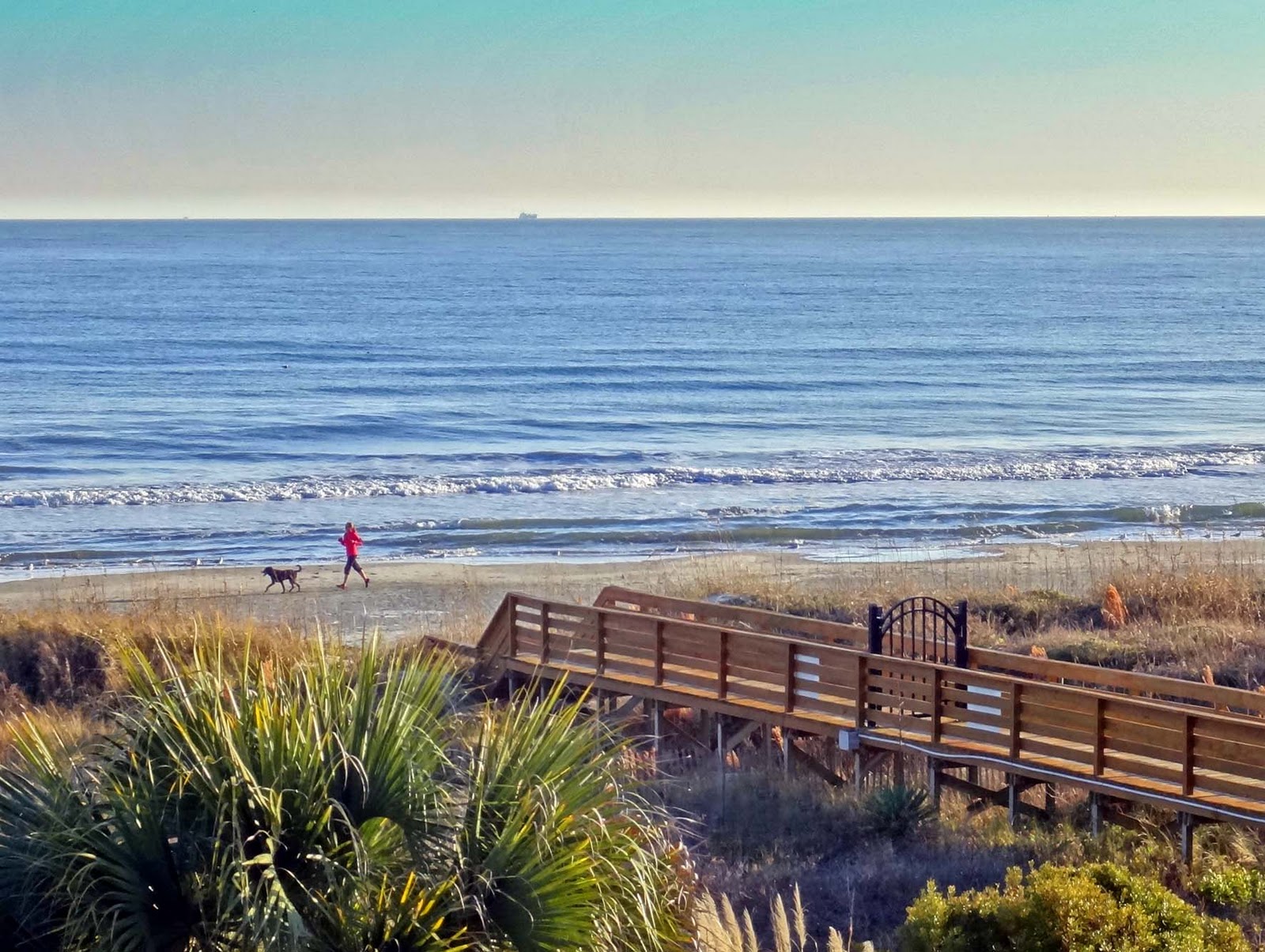 Barrier Island Charleston Sc Rodriguez Barrier Island Charleston Sc Rodriguez