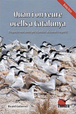 Quan i on veure ocells a Catalunya