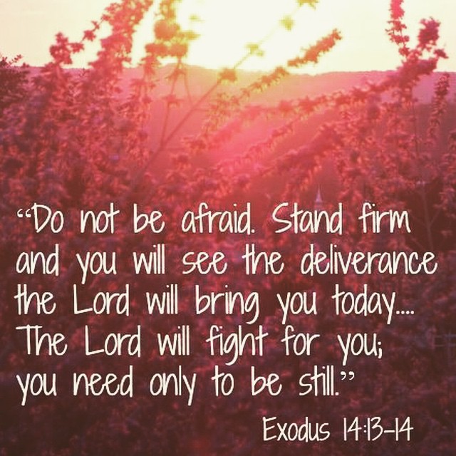 Artsy Faith Exodus 14 14