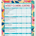 Cleaning Report Template