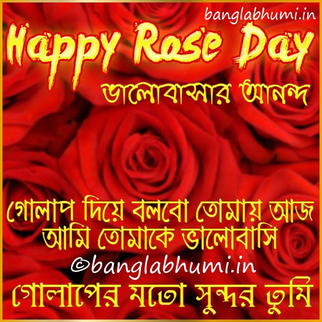 Happy Rose Day Bengali Wishing Wallpaper Free Download BanglaBhumi