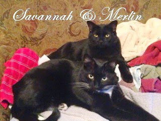 Merlin and Savannah