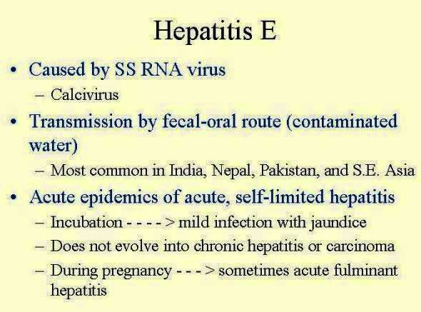  Hepatitis E  How is hepatitis E spread? Hepatitis E is spread through food or water contaminated by faeces from an infected person. This disease is uncommon in the United States.  Who is at risk for hepatitis E? People most likely to be exposed to the hepatitis E virus are • international travellers, particularly those travelling to developing countries • people living in areas where hepatitis E outbreaks are common • people who live with or have sex with an infected person  How can hepatitis E be prevented? There is no U.S. Food and Drug Administration (FDA)-approved vaccine for hepatitis E. The only way to prevent the disease is to reduce the risk of exposure to the virus. Reducing risk of exposure means avoiding tap water when traveling internationally and practicing good hygiene and sanitation.  Hepatitis E Homeopathy Treatment  Symptomatic Homeopathy works well for Hepatitis, So its good to consult a experienced Homeopathy physician without any hesitation.   Whom to contact for Hepatitis E Treatment  Dr.Senthil Kumar Treats many cases of Hepatitis, In his medical professional experience with successful results. Many patients get relief after taking treatment from Dr.Senthil Kumar.  Dr.Senthil Kumar visits Chennai at Vivekanantha Homeopathy Clinic, Velachery, Chennai 42. To get appointment please call 9786901830, +91 94430 54168 or mail to consult.ur.dr@gmail.com,    For more details & Consultation Feel free to contact us. Vivekanantha Clinic Consultation Champers at Chennai:- 9786901830  Panruti:- 9443054168  Pondicherry:- 9865212055 (Camp) Mail : consult.ur.dr@gmail.com, homoeokumar@gmail.com   For appointment please Call us or Mail Us  For appointment: SMS your Name -Age – Mobile Number - Problem in Single word - date and day - Place of appointment (Eg: Rajini – 30 - 99xxxxxxx0 – Hepatitis, – 21st Oct, Sunday - Chennai ), You will receive Appointment details through SMS