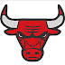 Logo de Chicago Bull en Bordado v2.0