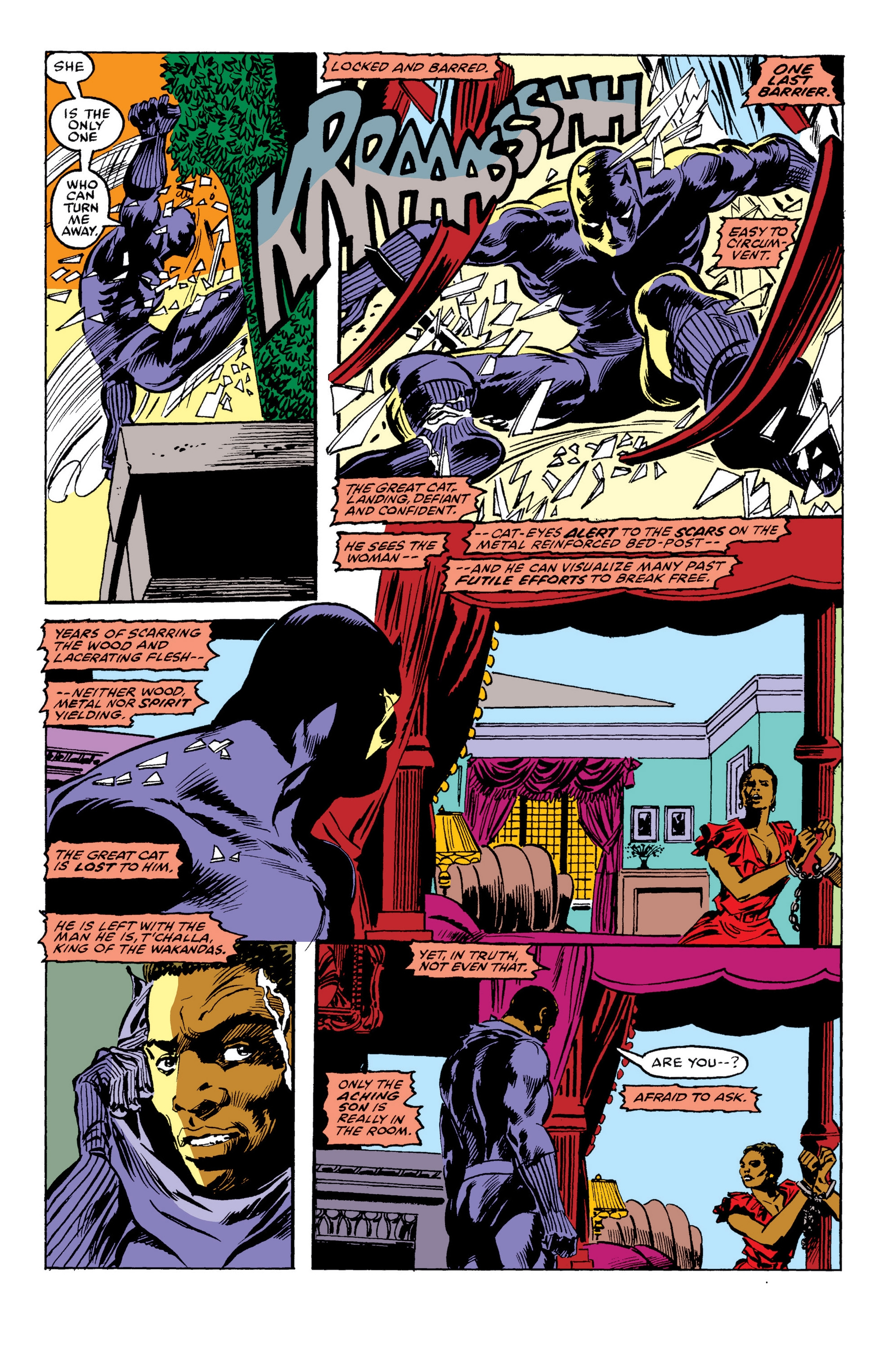 Read online Black Panther: Panther's Quest comic -  Issue # TPB - 218