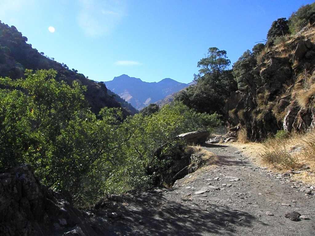 MINI NATURALEZA VEREDA DE LA ESTRELLA