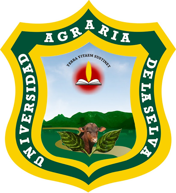 Centro de Idiomas - UNAS